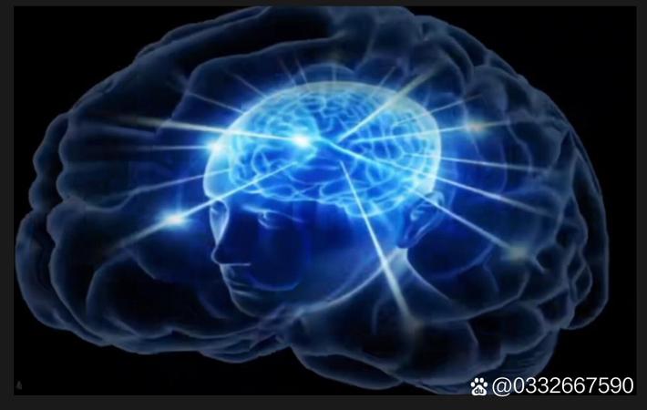 最新黑料 - 某选秀节目被曝黑幕，参赛选手实名举报节目组操控票数